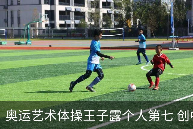 奥运艺术体操王子露个人第七 创中国历史最好成绩